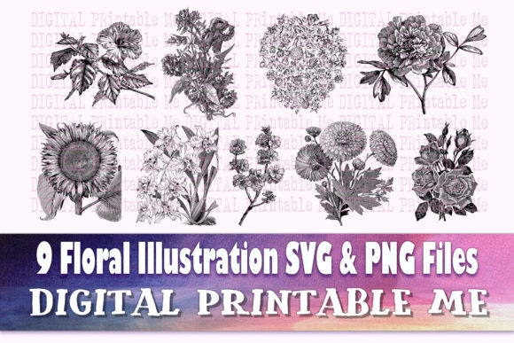 Download Floral Illustration Flower Drawing - Flower Collection