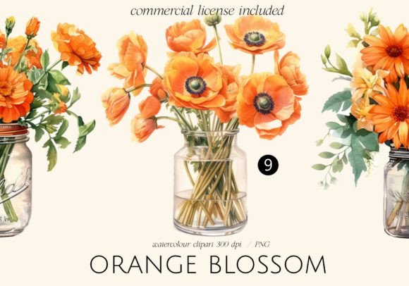 Download Orange Blossom Flowers in Jars - Flower Collection