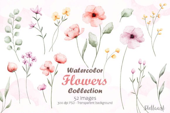 Download Watercolor Flowers Collection - Flower Collection