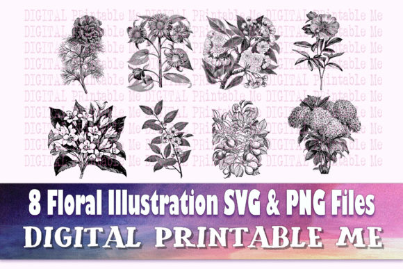 Download Floral Illustration Flower Drawing - Flower Collection