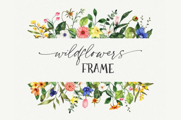 Download Floral Border PNG Clipart, Wildflower - Flower Collection